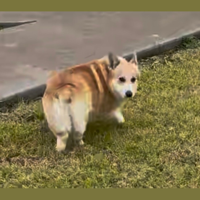 Photo of Bobby