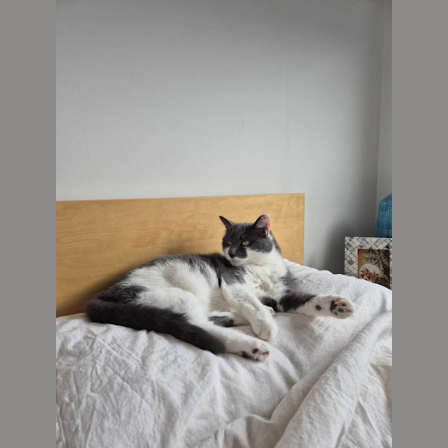 Photo of Smokey
