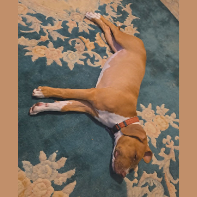 Photo of Breeze
