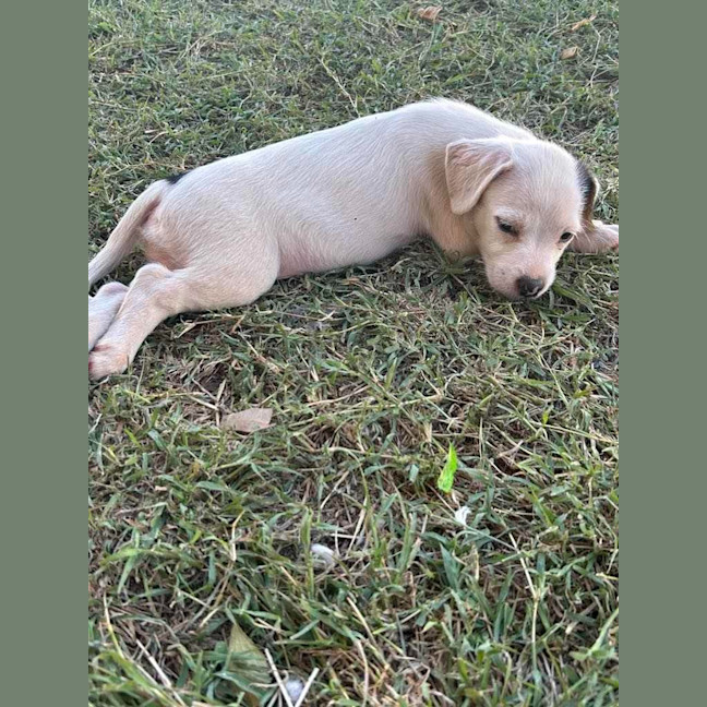 Photo of Lenny