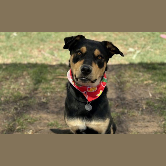 Photo of Benny