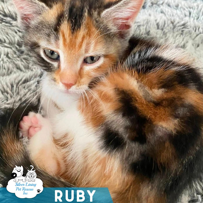 Photo of Ruby