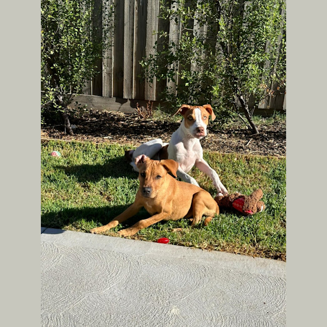 Photo of Riley
