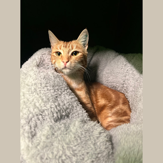 Photo of Molly
