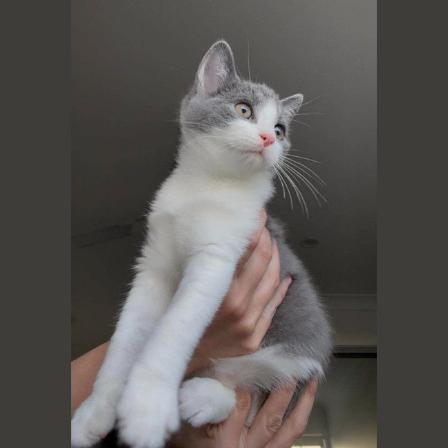 Photo of Roger