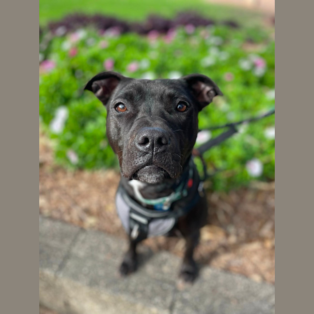 Photo of Tequila