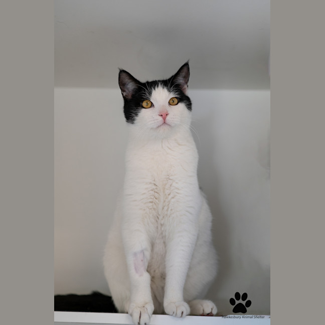Photo of Max