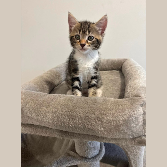 Photo of Zoe 