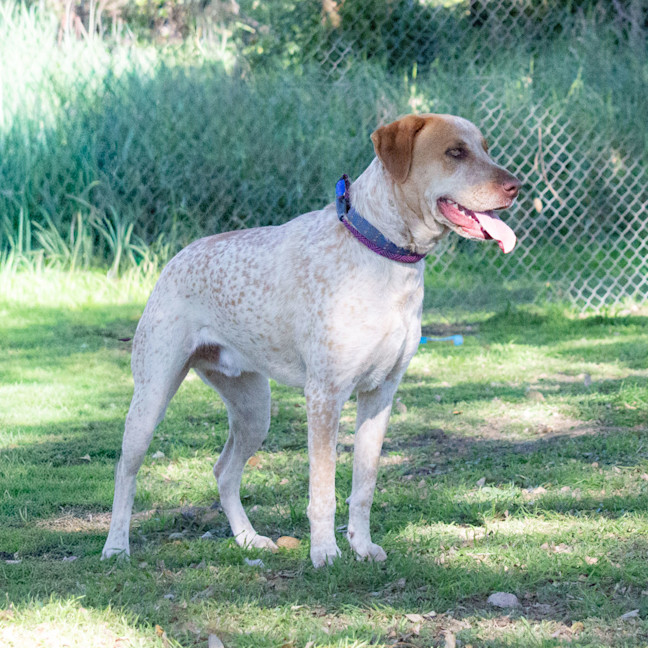Photo of Steve