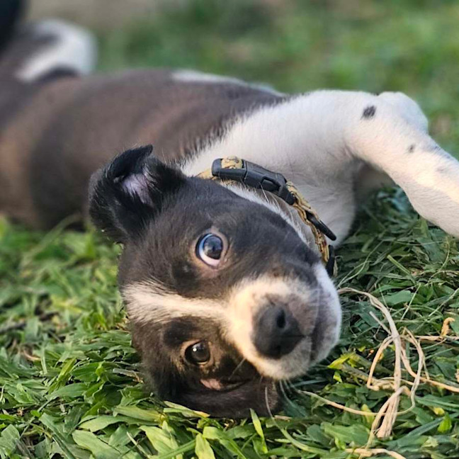 Photo of Harper