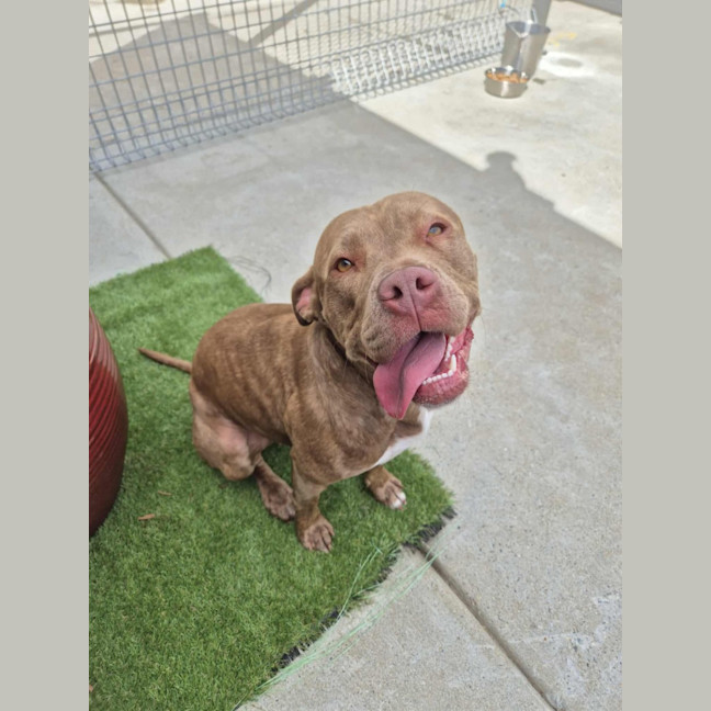 Photo of Meggie 💜