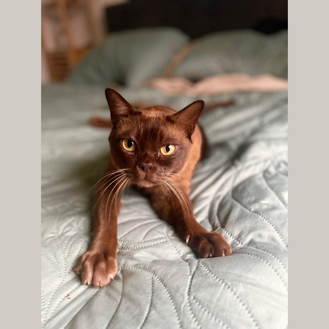 Photo of 🪕Banjo🪕