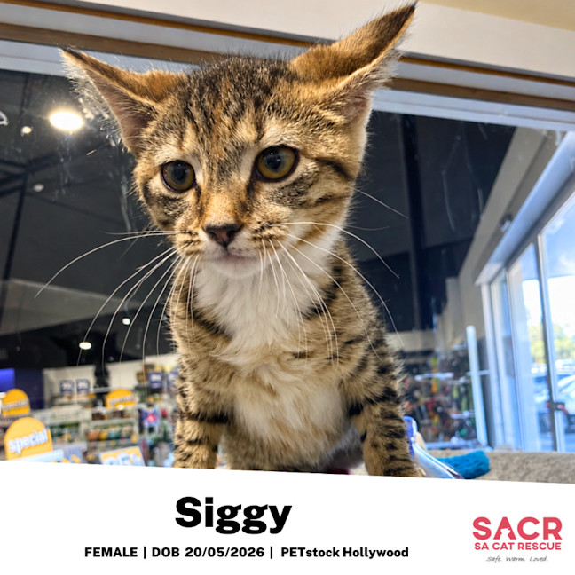 Photo of Siggy