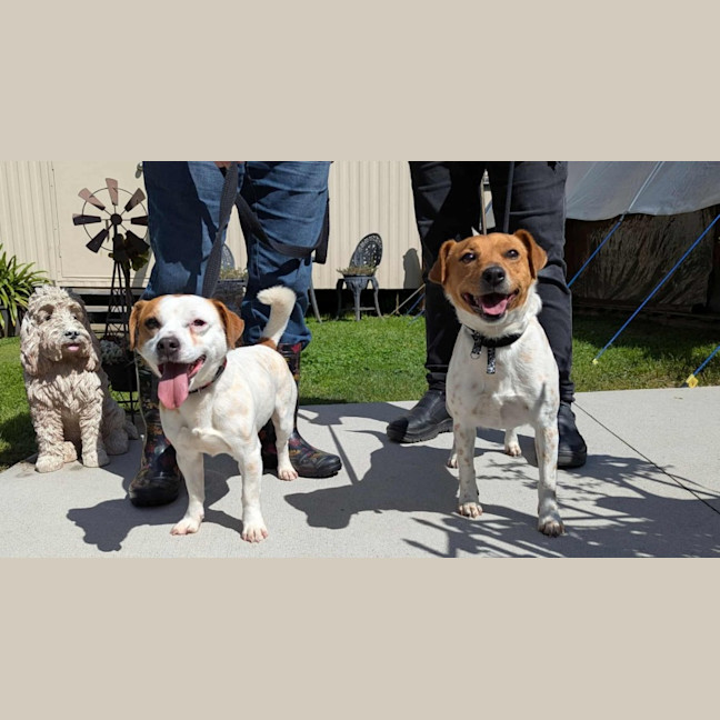 Photo of Athos & Rosie