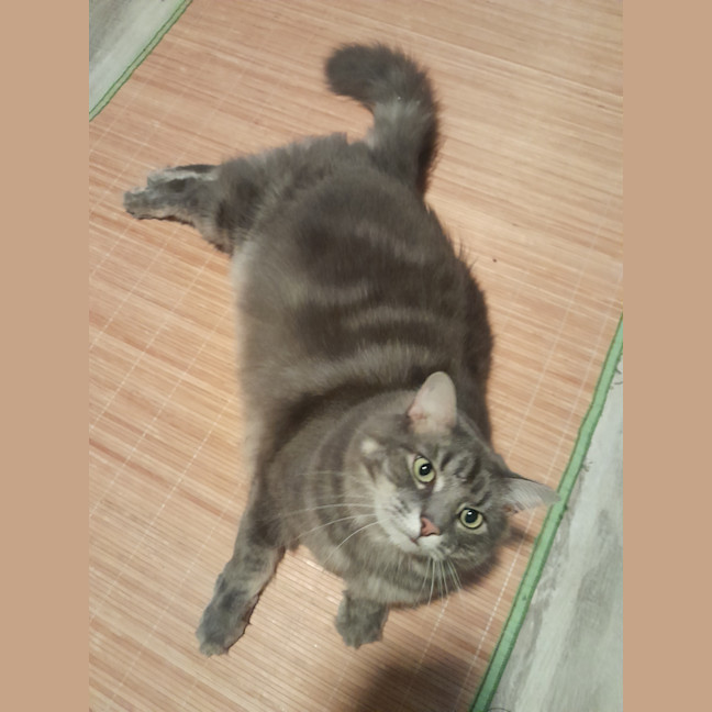 Photo of Mr Fluffy