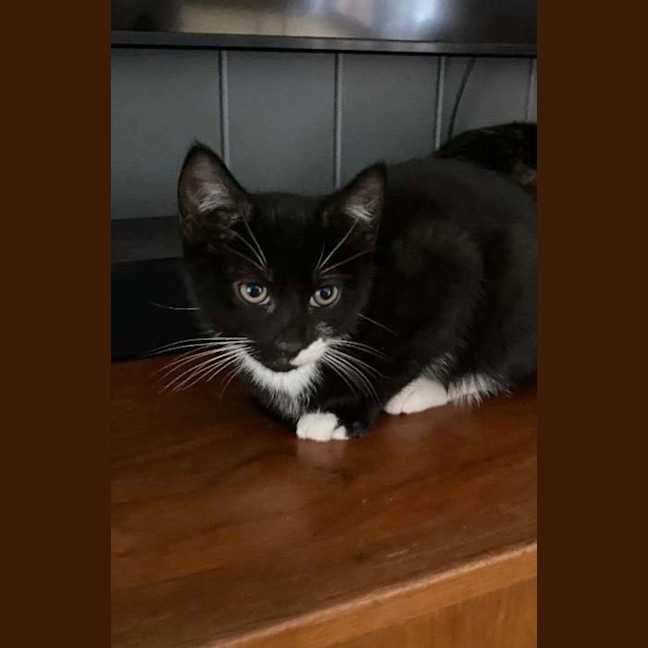 Photo of Chuppa Chup