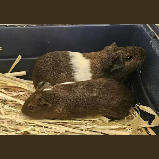 Photo of Rissie & Bobbie