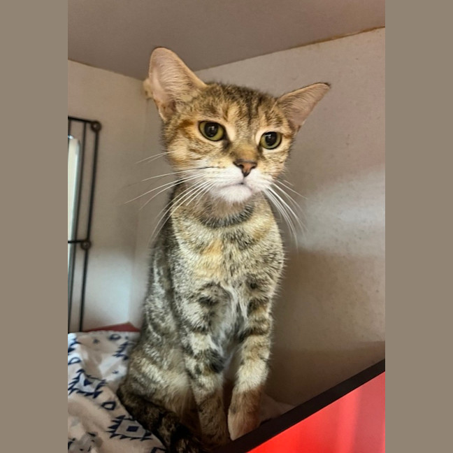 Photo of Storm