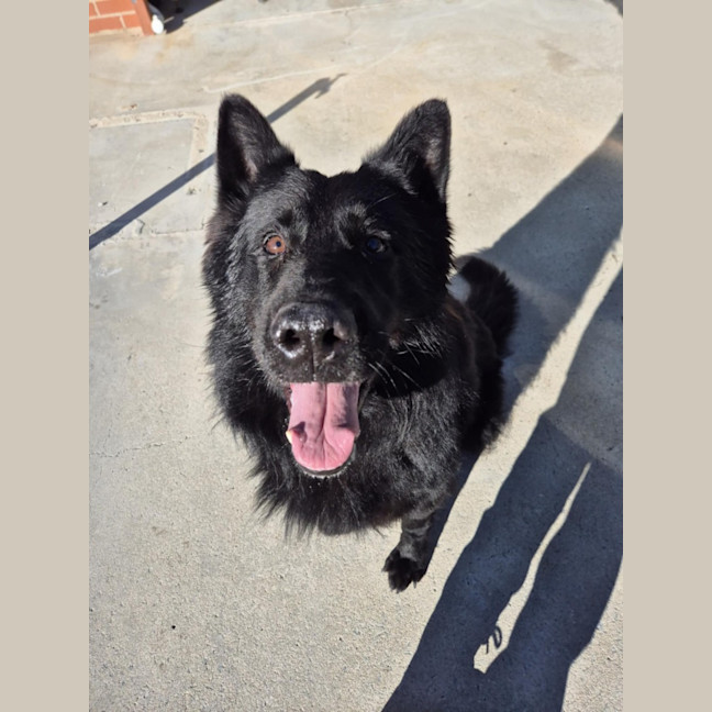 Photo of Archie 💘