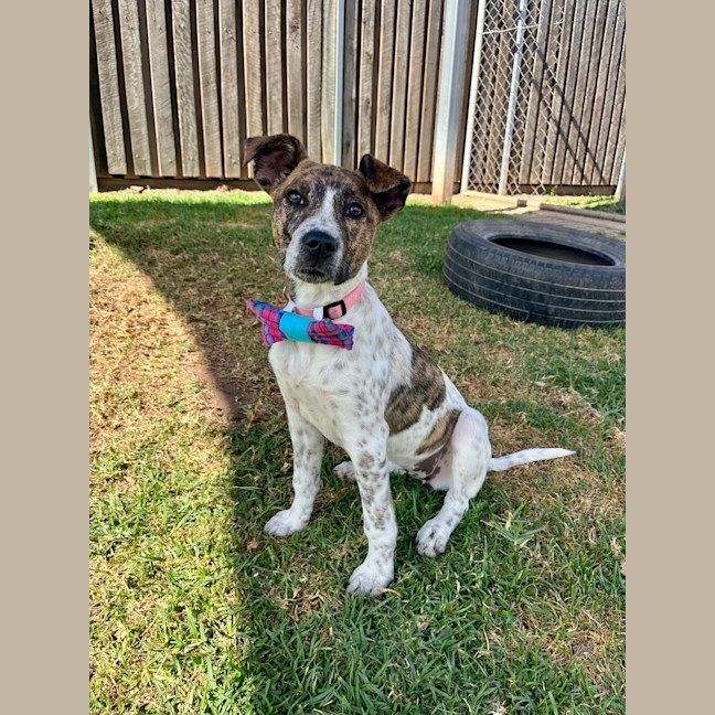 Photo of Chloe