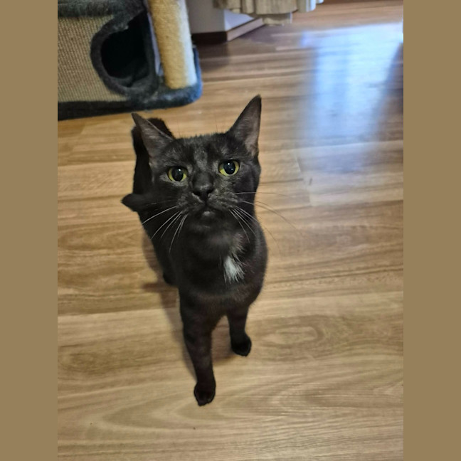 Photo of Ruby