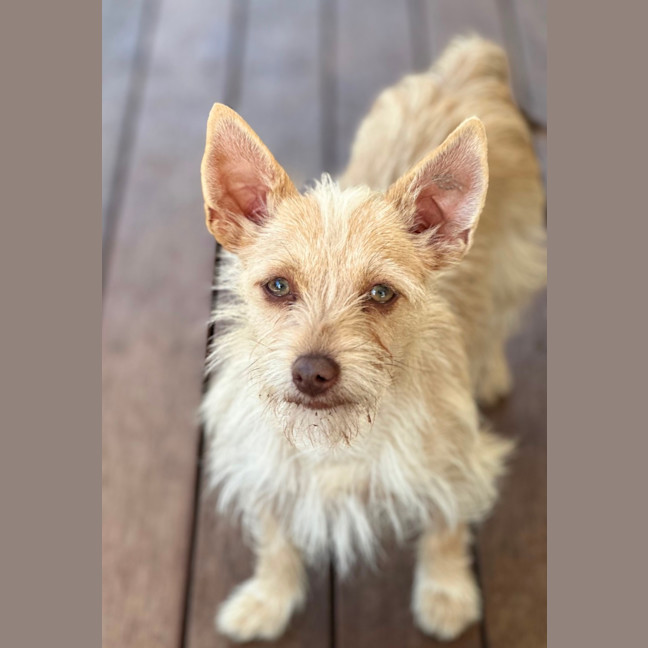 Photo of Violet 