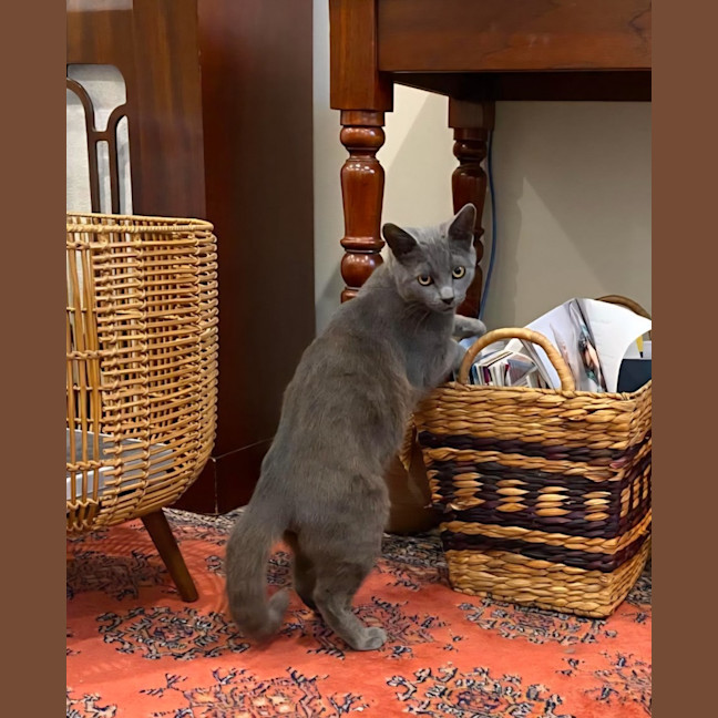 Photo of Monty
