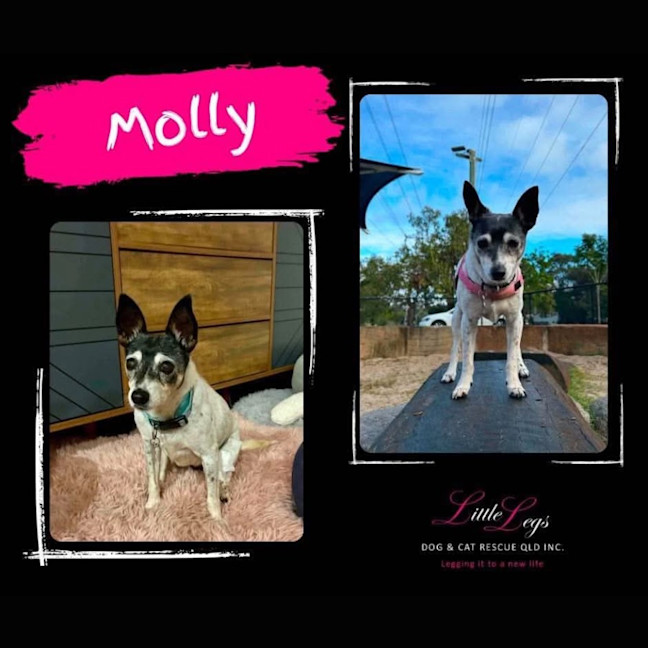 Photo of Molly