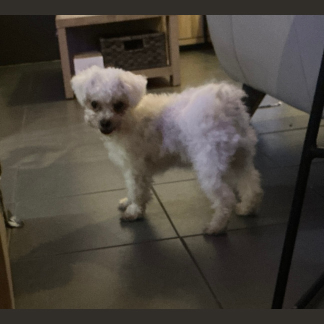 Photo of Cheeky Boy