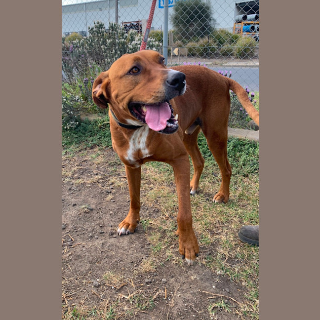 Photo of Otis   38455