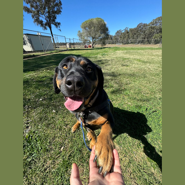Photo of Molly