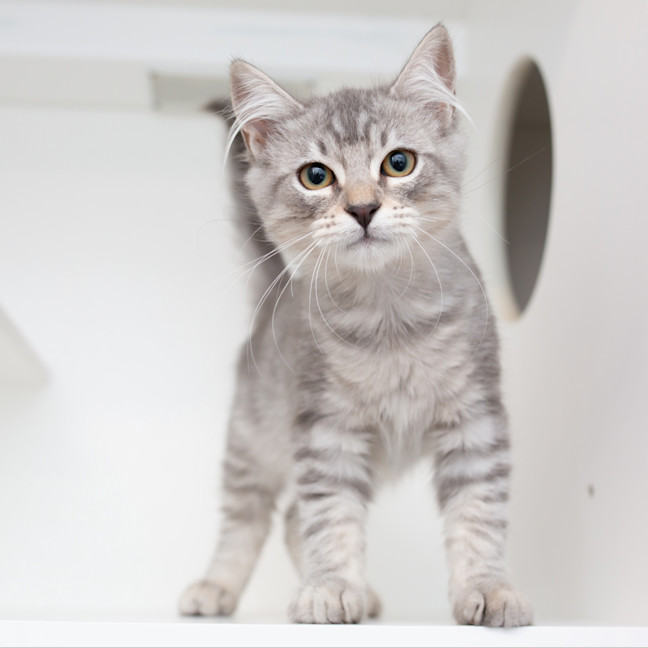 Photo of Filo (Previously Marcus)