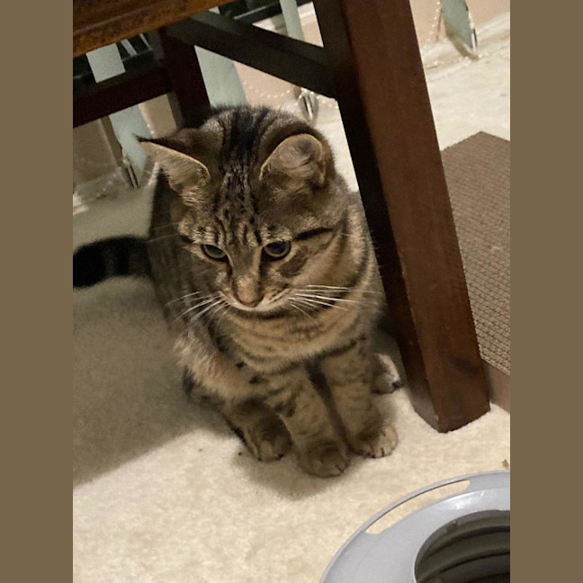 Photo of Mavis