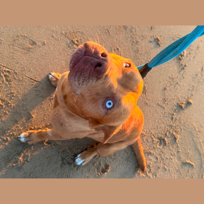 Photo of Red