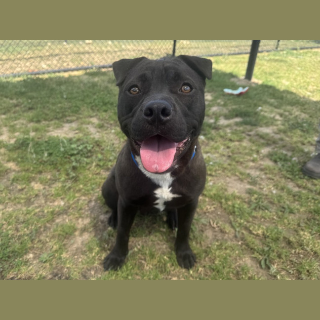 Photo of Fernando Imp 2792