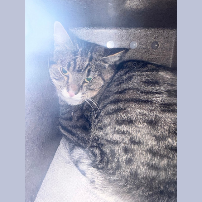 Photo of Alvin