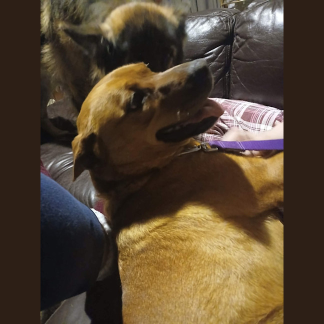 Photo of Twix 