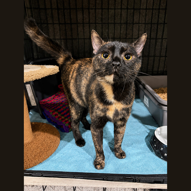 Photo of Cleo