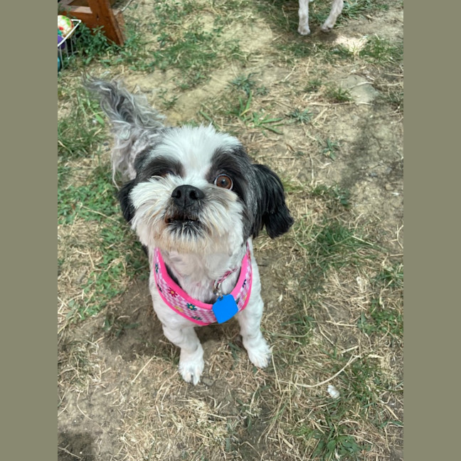 Photo of Akira And Meiko