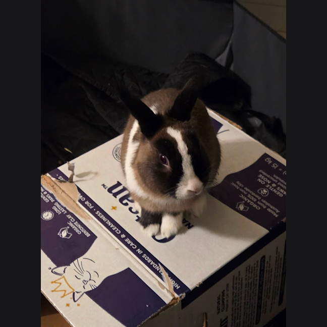 Photo of Oliver