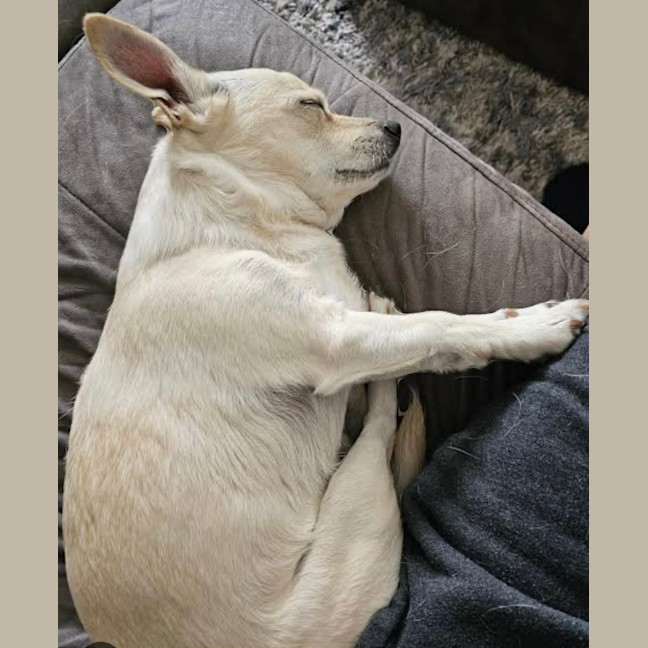 Photo of Bonded Pair 