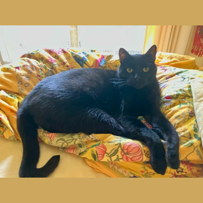 Photo of Salem