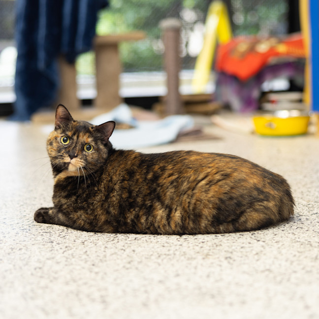 Photo of Maya