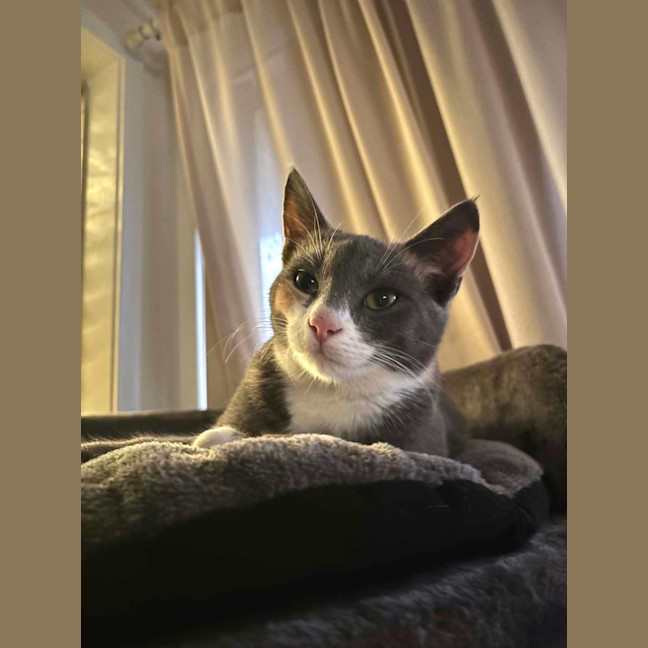 Photo of Calypso