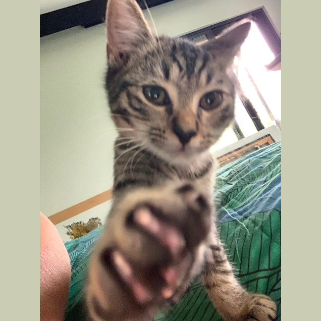 Photo of Luna