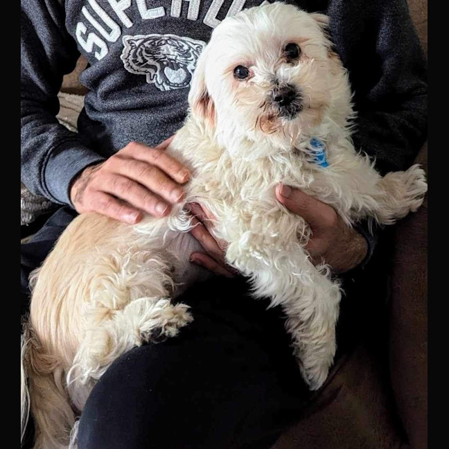 Photo of Bianca / Stella