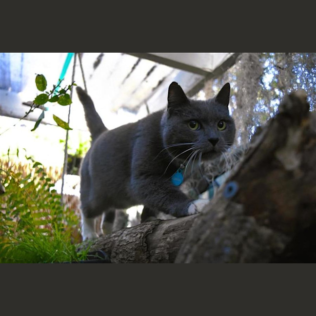 Photo of Sylvie