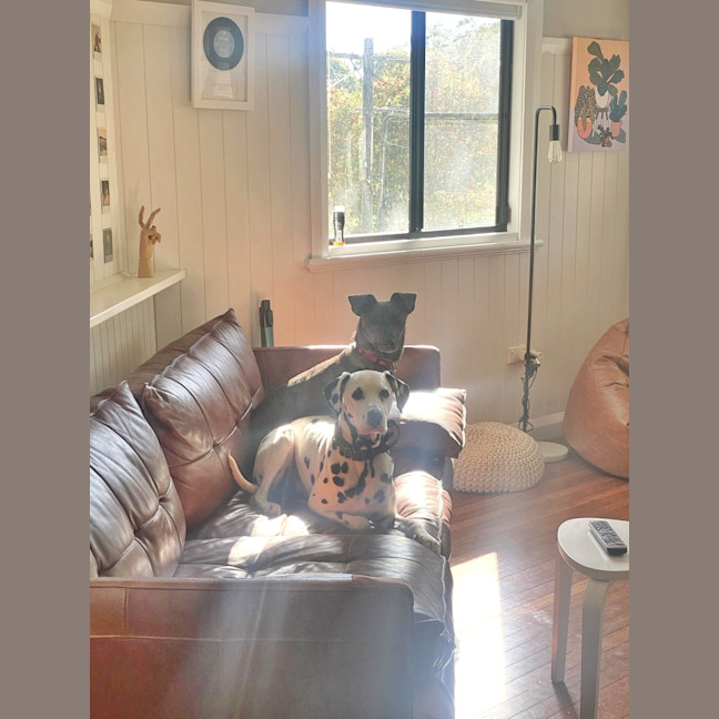 Photo of Sadie