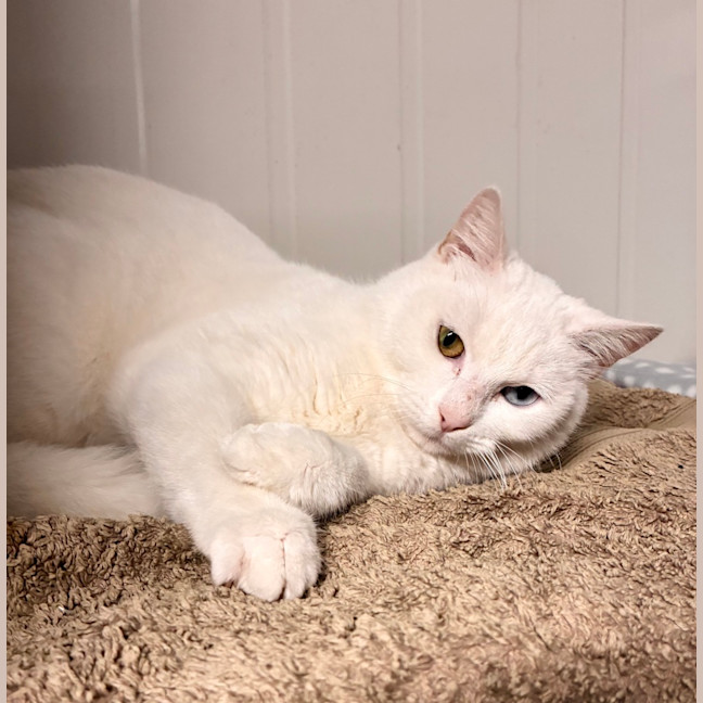 Photo of Peggy
