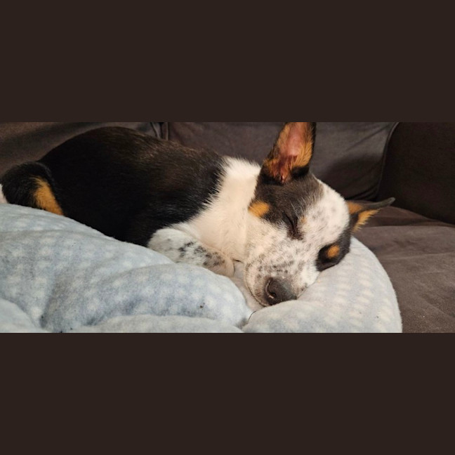 Photo of Brian